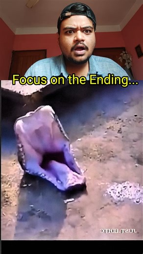 7.6K views · 51 reactions | “See how dangerous a "viper snake is.” FOCUS ON ENDING ⚠️ #Amazing #BMW #trending #viral #reels #review #videoreview #reviewvideo #russelsviper #viper #snake #snakeface #deadsnake #toxic #toxicsnake | Sohag Prodhan | Facebook