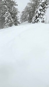 Come take a run with Steven Nyman on Far East! #SundanceResort #SkiUtah | Sundance Mountain Resort