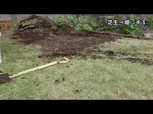 【家庭菜園 初心者】庭に畑を作ります！芝生をはがして土づくり