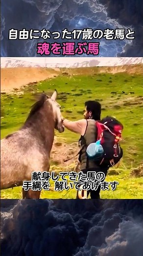 【涙腺崩壊】人間が馬を、馬が主人を…「自然へ還す」2つの愛の形