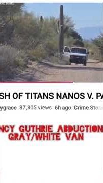 Nancy Guthrie: Gray/White Van
