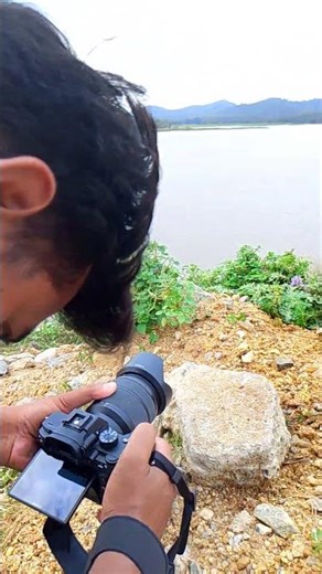 Sony 7m3 Video Test#photography #trending #naturephotography #sony