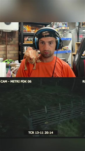 Jurassic Park Muldoons Logs Episode 18 — Compy Vision Reaction