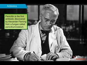 NCERT CBSE Class 8 Science Chapter 2 Microorganisms - Friend and Foe Part 3