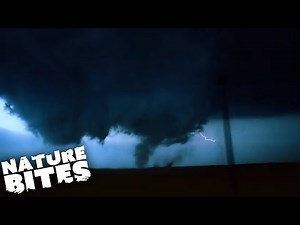 Will Stormchasers Survive the Eye of a Tornado? | Nature Bites