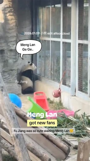 Meng Lan: The Caring Panda and His Neighbors