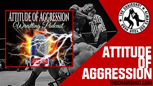 Attitude Of Aggression #343- The Big Five Project: Summer Slam ’96