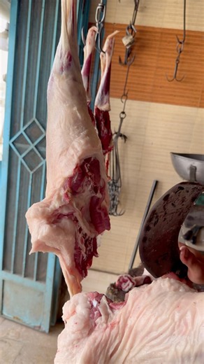 Whole Lamb Butchery #shorts MeatCutting #LambButchery #butcherskills