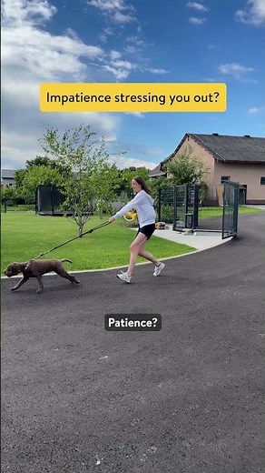 Handsfree Access for you and your dog with Nuki