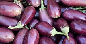 15 Awesome Italian Eggplant Recipes - Eat Like an Italian