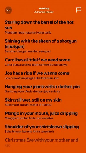 Exploring 'Anything' by Adrianne Lenker: Full Lyrics