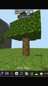 making dripstone trap