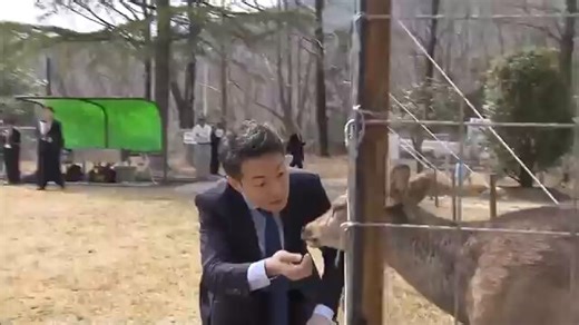 “迷いシカ”横山市長が初対面「受け入れのお礼」「めっちゃ癒される」大阪市内で捕獲され27日に #大阪府能勢町 の温泉施設に引っ越ししたシカ🦌 大阪市の横山市長が初めて対面した#能勢温泉 は今後、シカ🦌の一般公開について検討したいということです