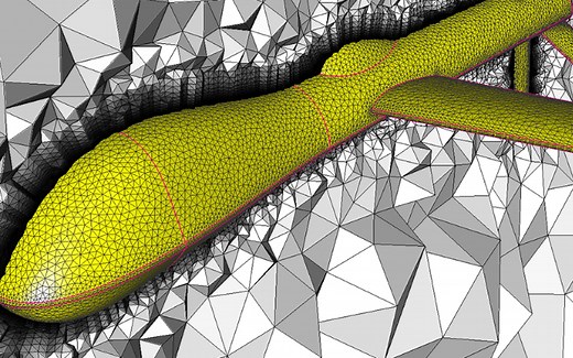 Meshing边界层网格控制