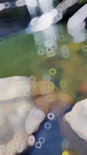 🩶🌱🌊#travelsrilanka #visitsrilanka #nature #treanding #travel