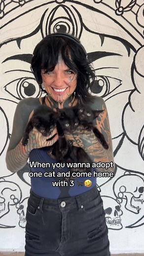 Trinity Eclectic on TikTok