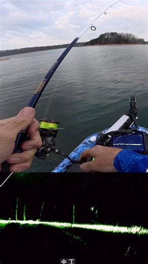 Epic Forward Facing Sonar Bass Eat!! 🛎️ | Jacob Wheeler