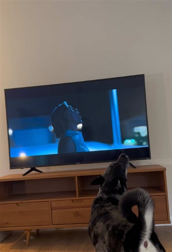 Dogs Howling During Pluribus Episode 7 Moments