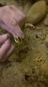 1.4M views · 10K reactions | STORM REVEALS AN ANCIENT SHIP..." | Mysteries of Forgotten Artifacts | Facebook