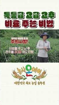 특등급 고추의 기본! 토양관리 방법과 비료 시비 방법 꼭 확인하세요