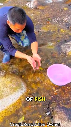 Lucky River Moment 🍀🌊