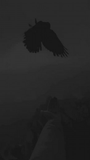 Captivating Bird Flight: Raven in Dark Skies