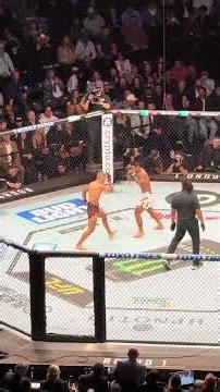 Joshua Van vs Alexandre Pantoja 2 Full Fight | UFC 331