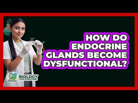 How Do Endocrine Glands Become Dysfunctional?