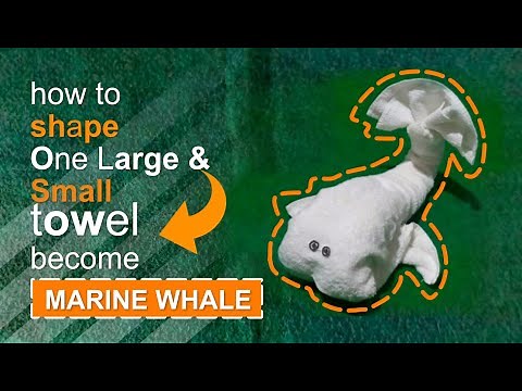 Marine whale towel animal, towel origami easy, watch me work folding it ‪@MisterTowelDesign‬