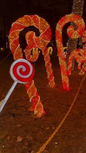 163 reactions · 31 shares | Christmas mood: ON.  Lights twinkling,...