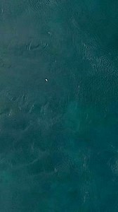 You see anything 🤯 | Cavy Fishing