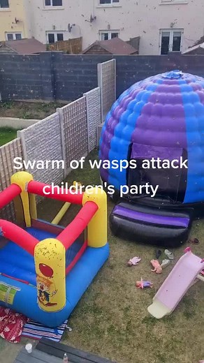 #wasps #party #dublin | wasp