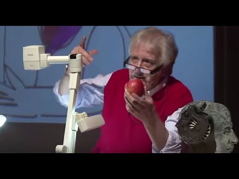 Los Procesos de Pensamiento Creativos en la Educación | Christian Schrader | TEDxUniSabana