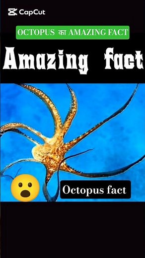 Octopus Facts 😱 | 8 Dimaag, 3 Dil! | Amazing Ocean Creatures #shorts