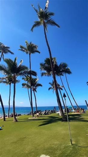 Maui Happy Hours on Instagram: "Thirsty Thursday 🍍🍹🌺 If you’re thinking about where to go later, we’ve got you covered. Maui Happy Hours is your go-to spot for finding the best happy hours, local favorites, and can’t-miss spots across the island. Start here and see what’s happening today: https://mauihappyhours.net/ 📲 Maui Happy Hours App Download – Find Maui’s best happy hour deals https://mauihappyhours.net/download 🌐 Maui Happy Hours Website – Browse menus, photos, and local tips https:/