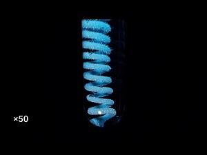 AgNO3 + Cu (silver nitrate + copper)