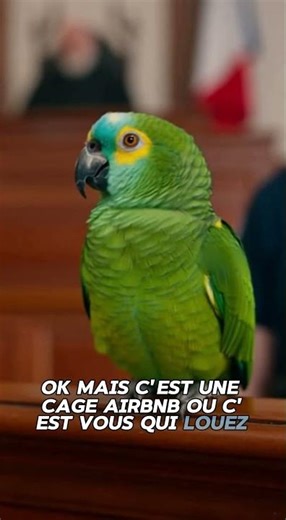 Coco en GAV : "C’est une cage Airbnb ?" 💀🦜 #perroquet #police #airbnb #humourfrancais #funny