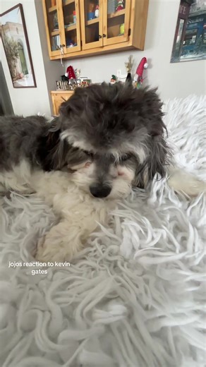 Jojos Reaction to Kevin Gates: Love and Conflict