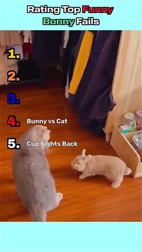 Rating Funniest Bunny Fails 🐰💥😂