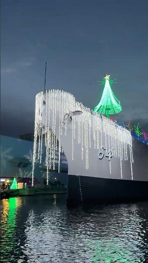 Is This The Most Unique Holiday Light Display in America?