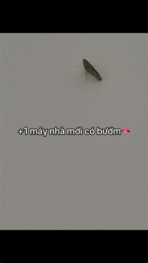 Video của Khủng Long bt nhảy 👛💕 (@khunglonghongbtnhay2) với bản nhạc nhạc nền - gà 67_trùmvn - user63493192896