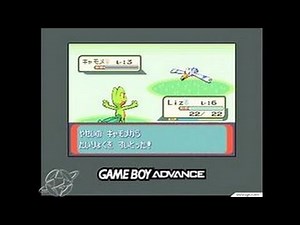 Pokemon Ruby Version Game Boy Gameplay_2002_11_26_5
