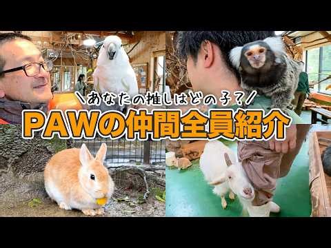 [Must-see before Golden Week] Enjoy PAW even more! We've introduced all the animals' names and pe...