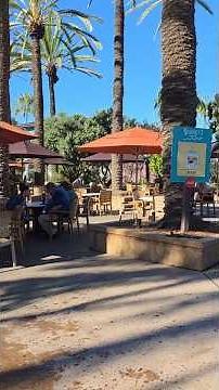 Sydney's Grill Restaurant | San Diego Zoo, California