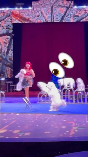 Amazing Dog Jumps Over Obstacles at Garden Brothers Circus!