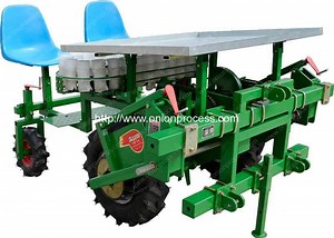 Automatic Onion Seedling Transplanter Machine for Sale | Onion Peeling Machine, Onion Dicing Machine, Onion Slicer