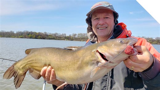 Channel catfish on the sinker slide