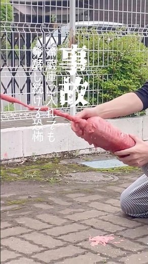 発酵•酵素ドリンク簡単作り方と撮影の裏側 #shorts #発酵ジュース #酵素ドリンク #酵素ジュース #撮影の裏側 #fruits #話題のレシピ