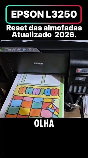 Epson L3250 won't print, ink and paper lights are flashing. Updated Reset. #epson #l3250 #printer