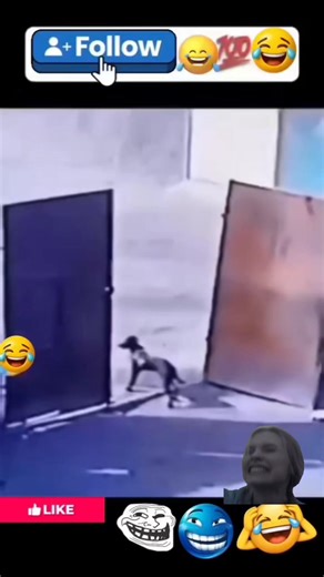 Sitapara Kishan Sitapara | #comedy #fani #video #shots | Instagram